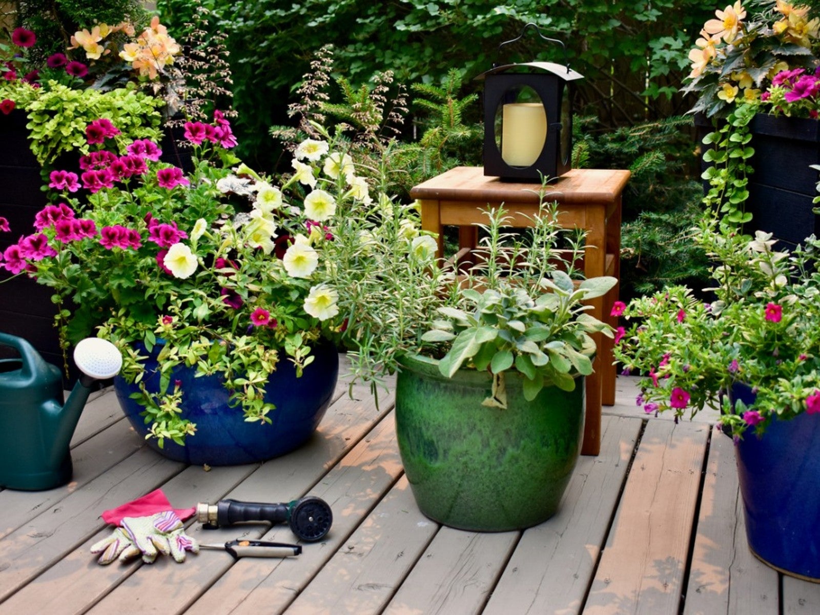 115 Of Our Best Container Gardening Ideas