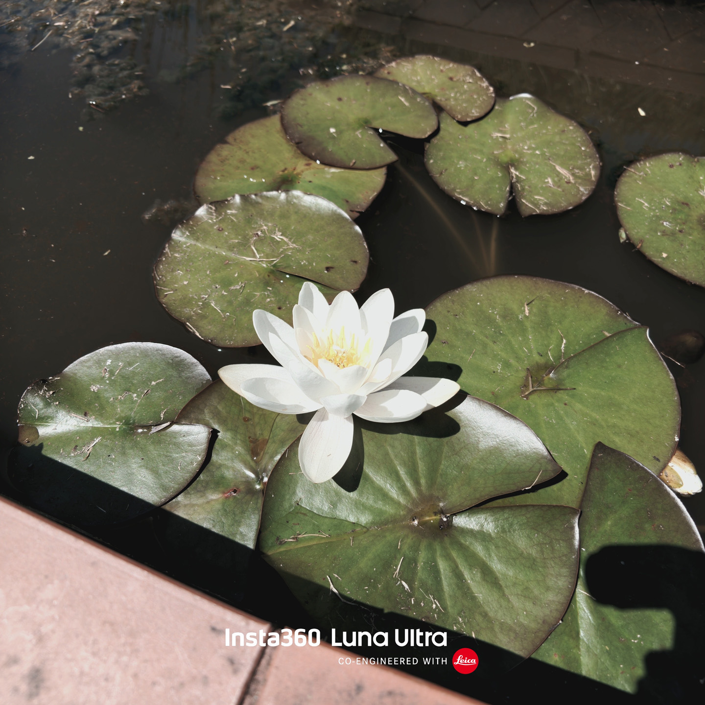 Insta360 Luna Ultra sample images