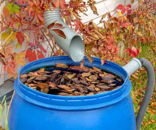 Blue plastic rain barrel clogged with leaves