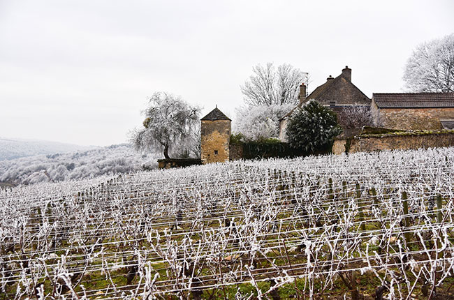 ‘Snow in Saint-Romain’ – Gretchen Greer