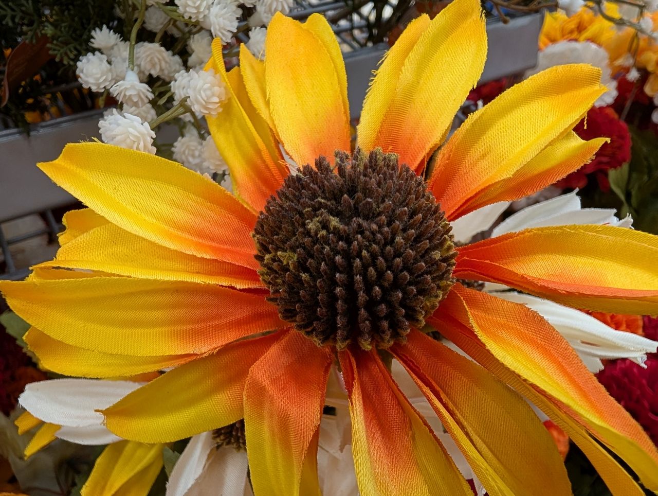 Google Pixel 9 Pro XL macro sample.
