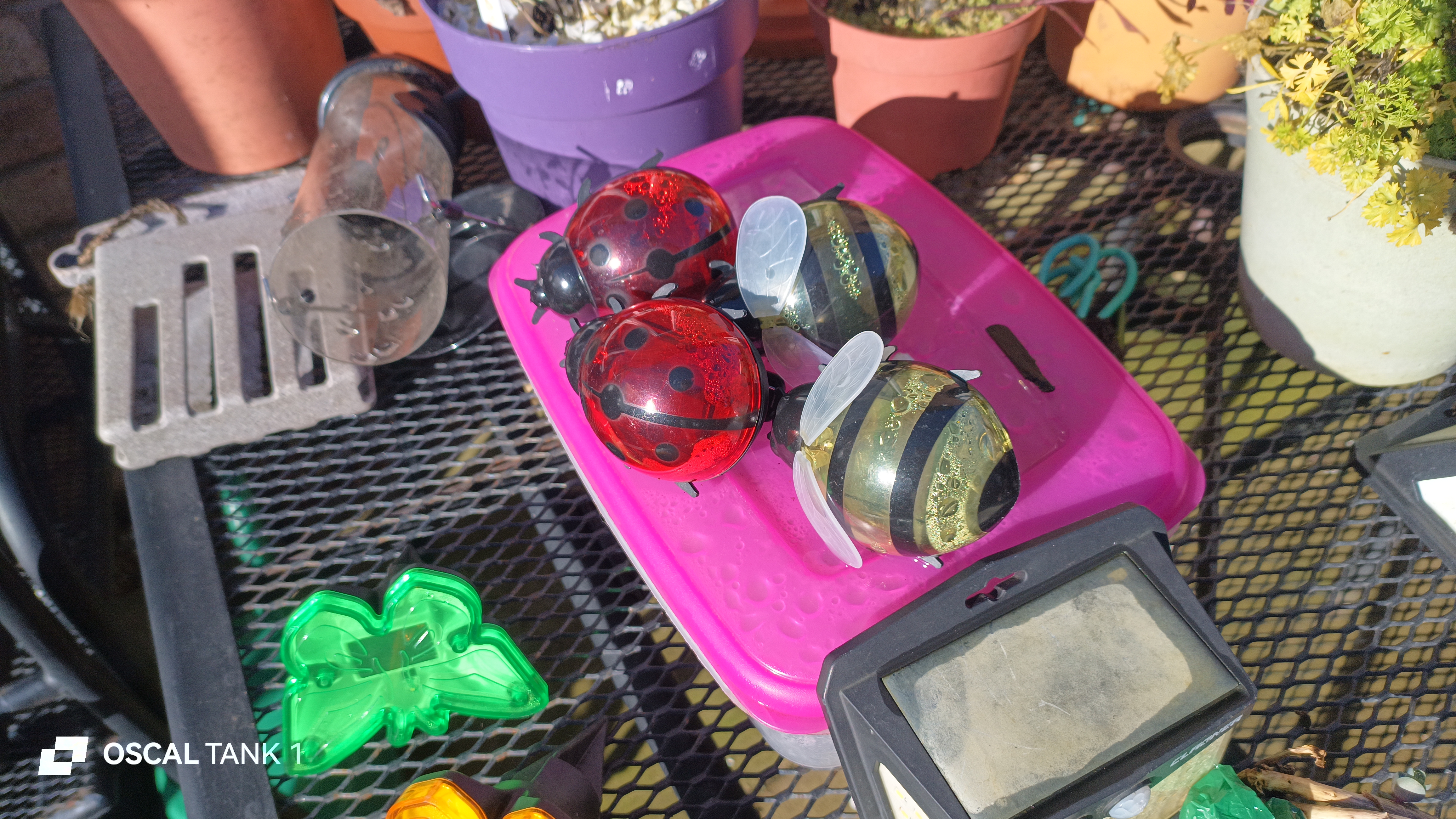 Blackview Oscal TANK 1 example pictures