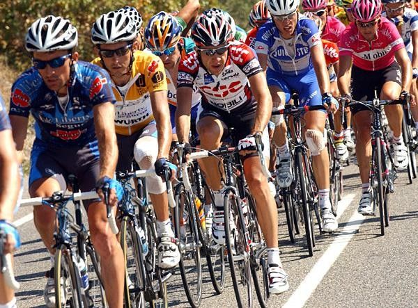 Concentrating in the gold jersey group
