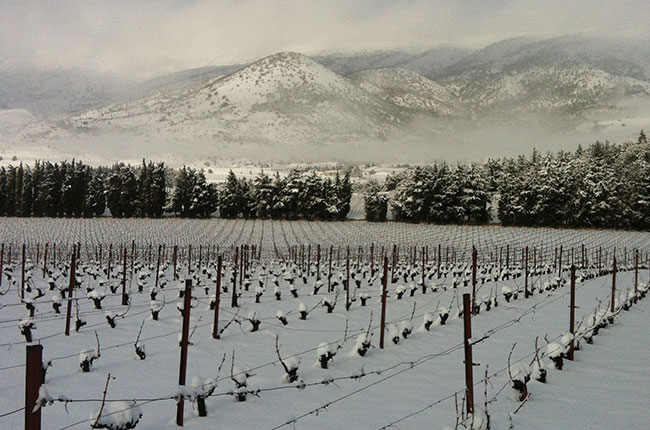 vineyards in lebanon