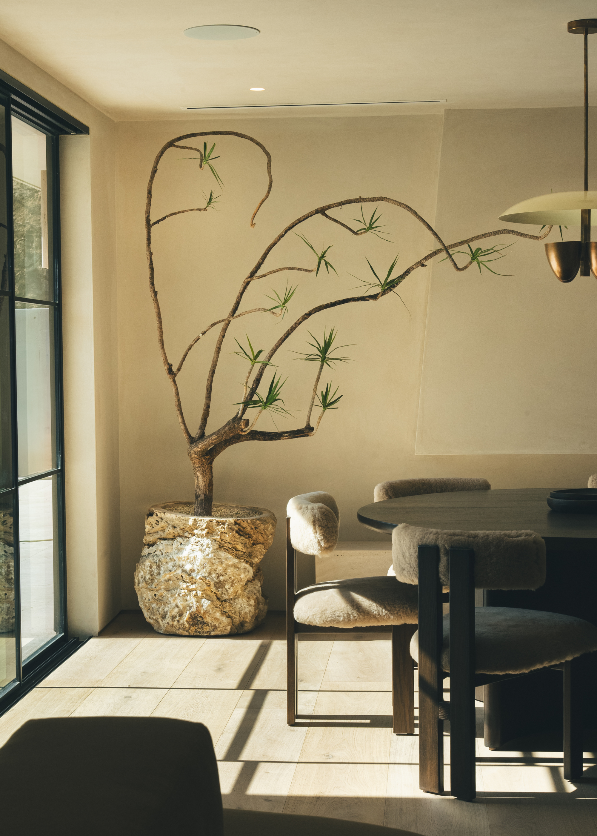 A sculptural indoor tree in the corner of a sunshine-lit modern dining room in neutral tones with a balck round dining table with black-backed chairs and fluffy seat covers and backrests