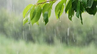 The 5-minute fall flood check every homeowner needs right now