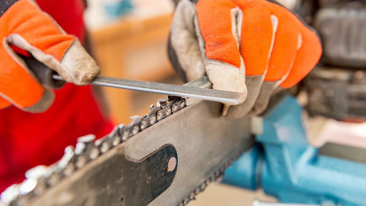 How often to sharpen chainsaw Top Ten Reviews