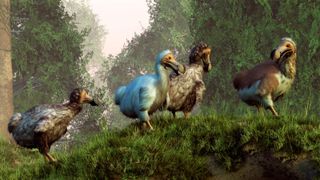 A group of Dodo birds crossing a natural bridge over a stream. - stock illustration