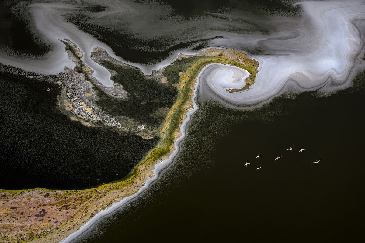Impressive view on land and sea from aerial perspective, creating an interplay of black and green and various forms
