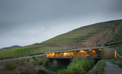 The six-room Casa do Rio hotel on a vine-covered hillside in the Upper Douro