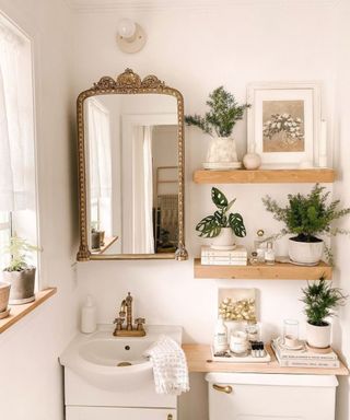 A white bathroom with a gold mirror, wooden shelf with plants, and a sink underneath it