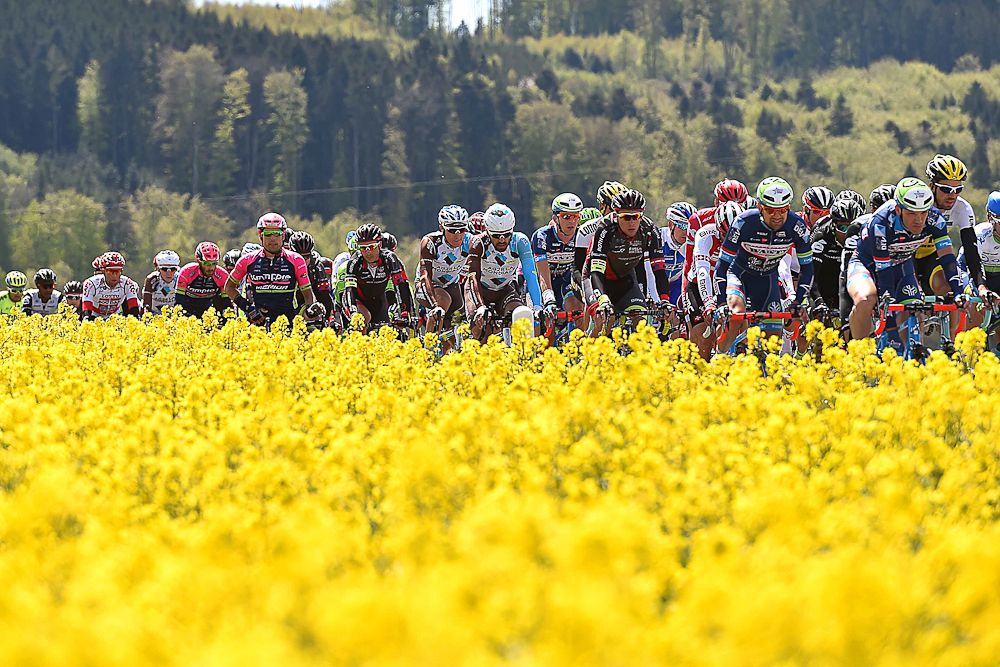 The peloton in action during stage 4 at the Tour de Romandie