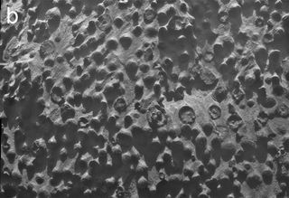 MI mosaic acquired on sol 3064 showing a dense concentration of spherules at the Kirkwood target and locality. Approximate scale across the scene is 5 cm, and illumination is from the top.