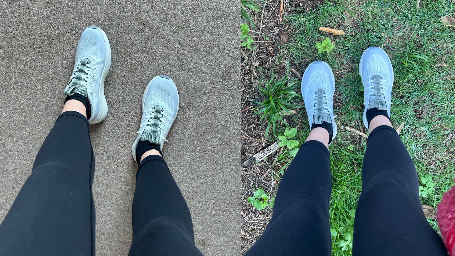 Image of Allbirds trainers