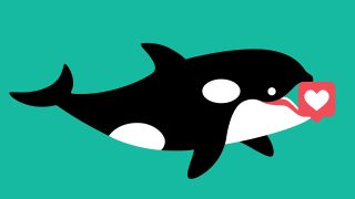 An illustration of an orca holding a social media heart icon