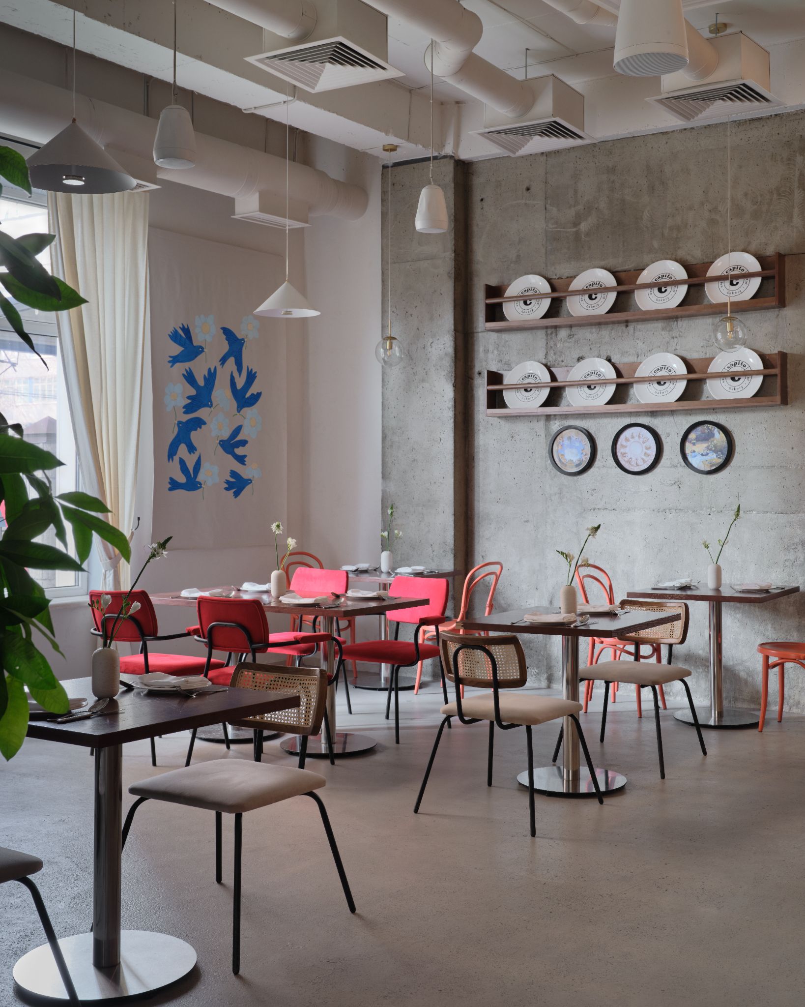 kyrgyzstan cafe capito