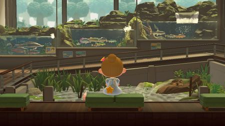 Animal Crossing museum