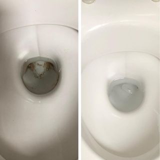 cleaning the dirty toilet