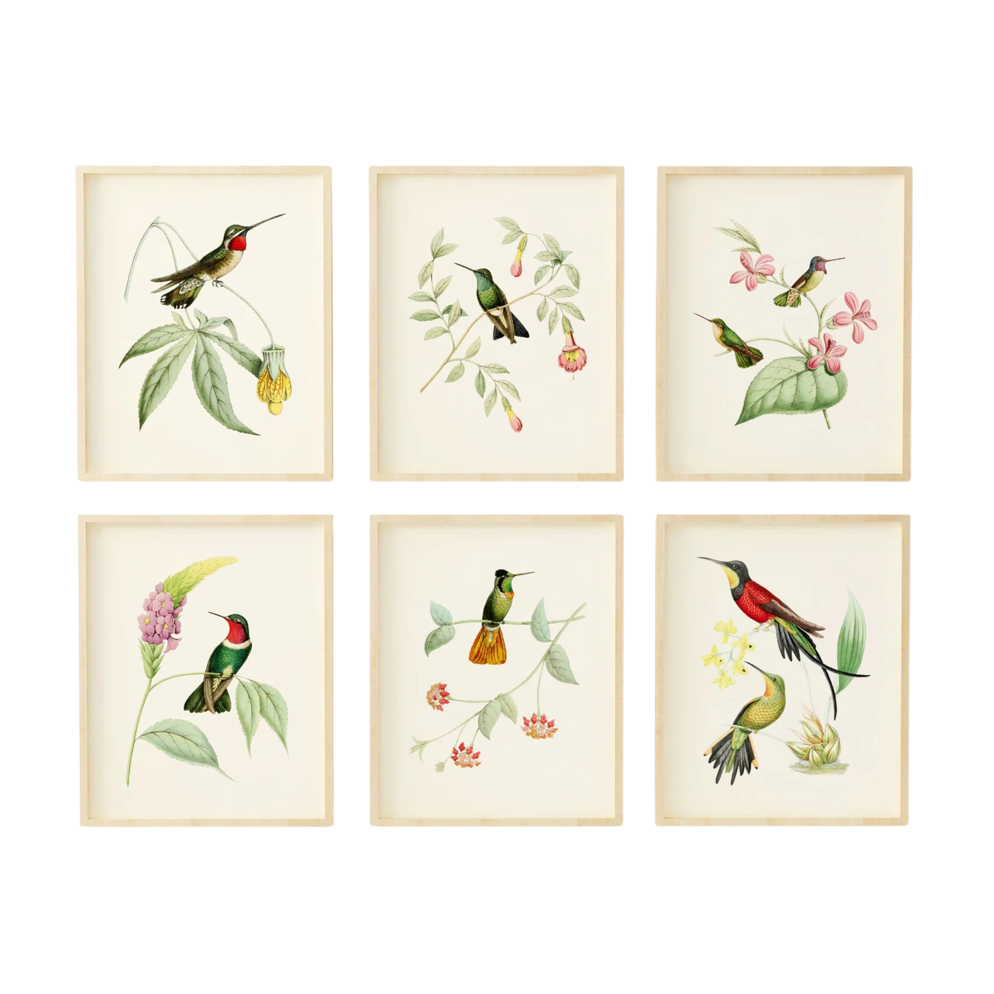 set of six artworks featuring birds
