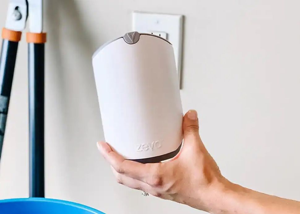 How to get rid of gnats inside your home Tom's Guide