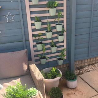 wooden wall with hanging plastic pots and plants
