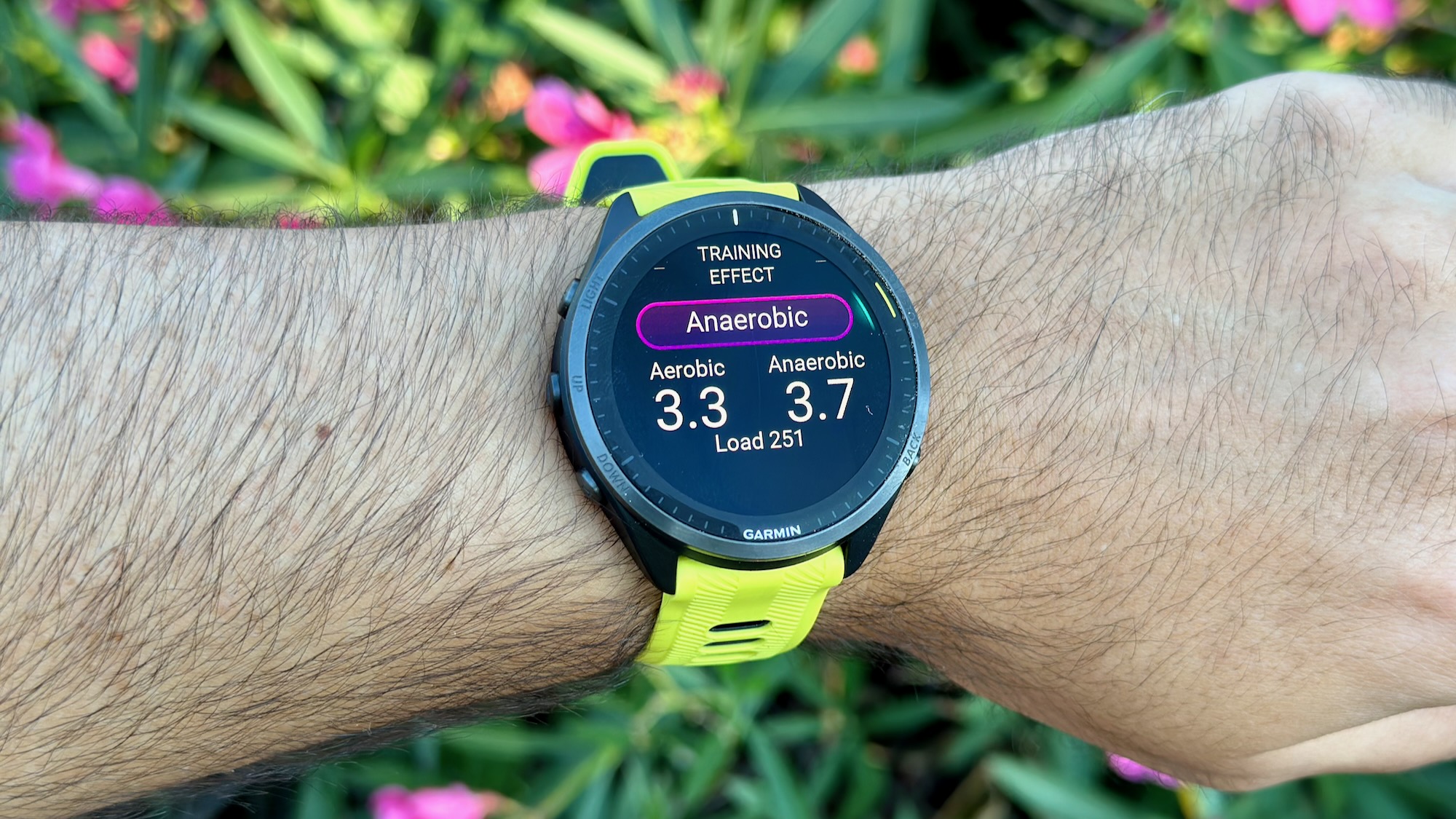 A post-run screen showing aerobic and anaerobic training effect on the Garmin Forerunner 965