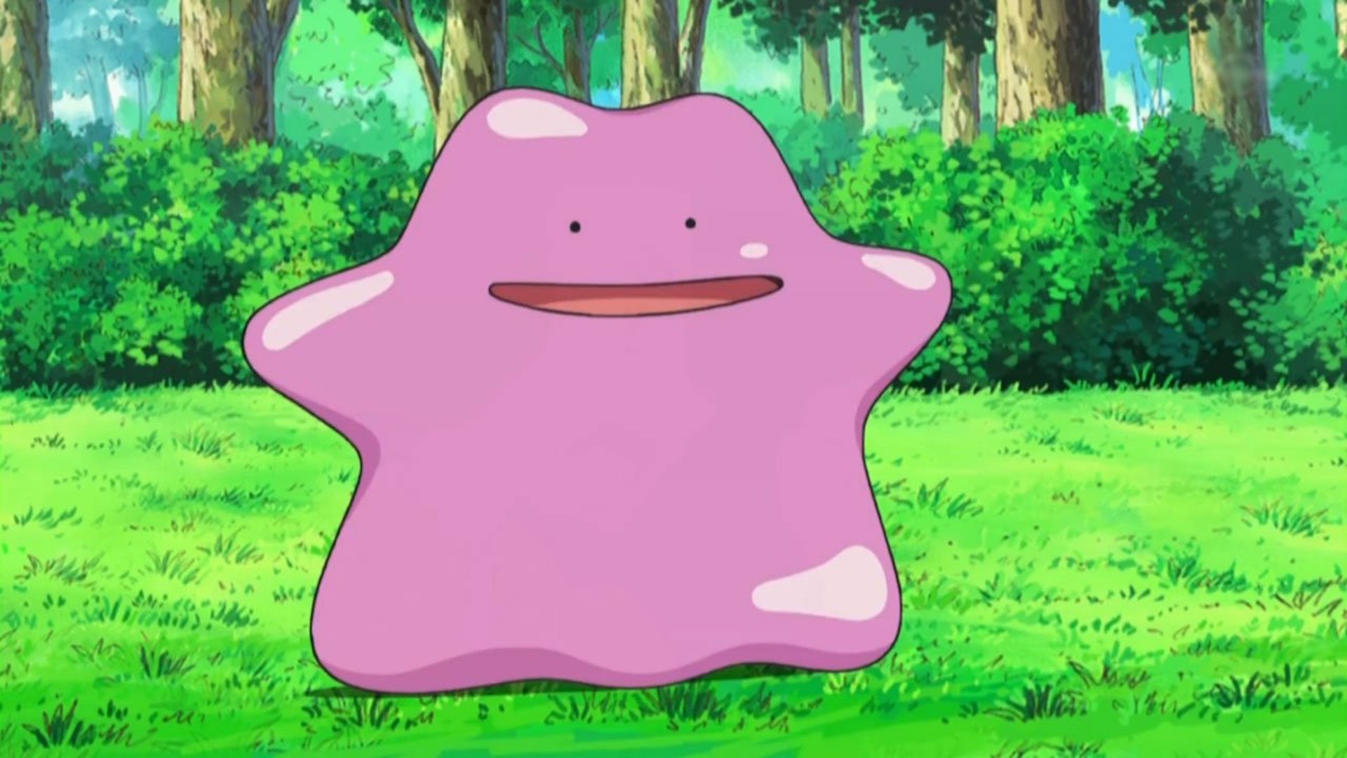 Ditto - Sleep Style Dex - Pokémon Sleep