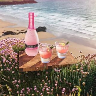 A bottle of Tarquin's Pink Lemon, Grapefruit & Peppercorn Gin beside two glasses in front of a beautiful beach scene on a summer day