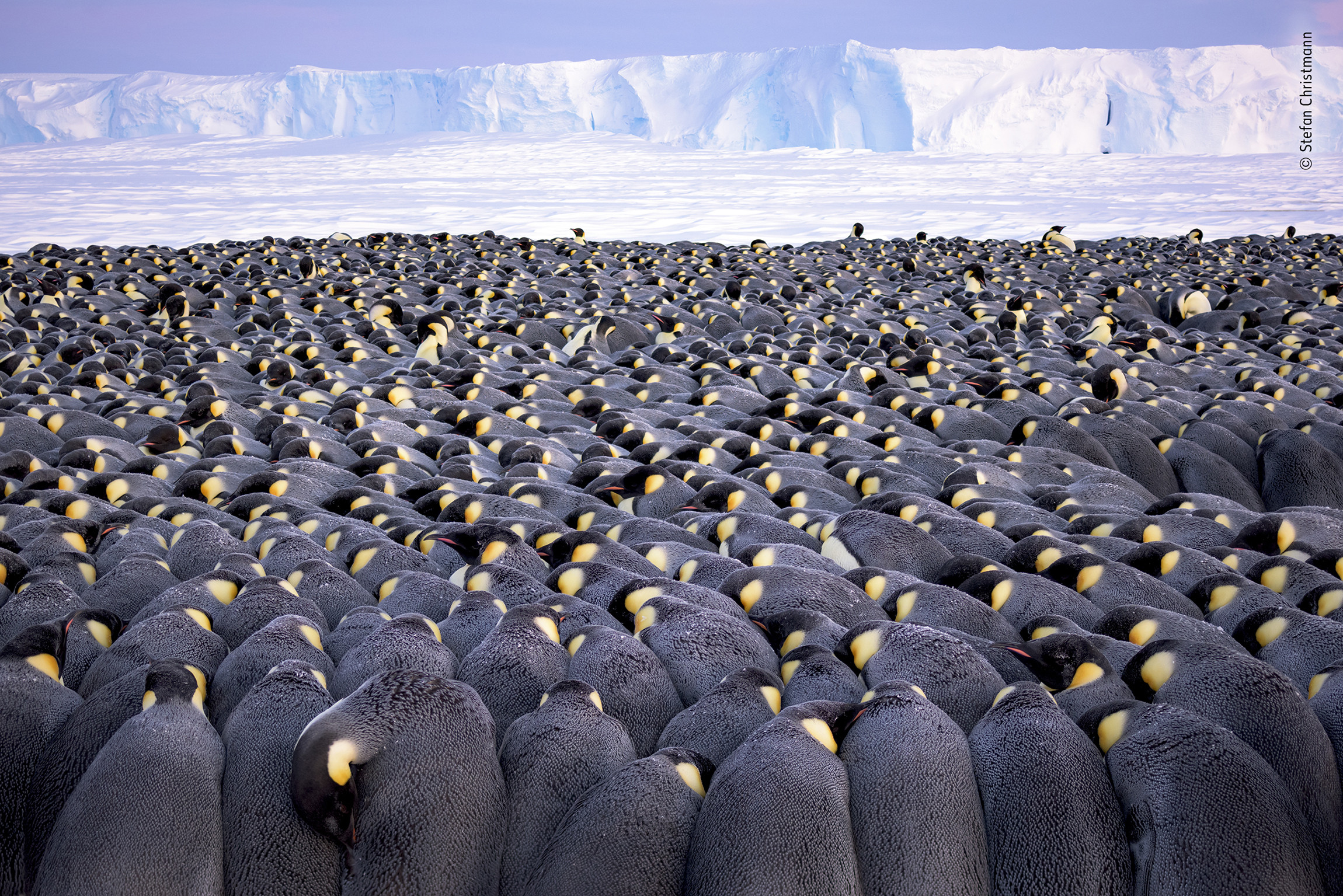 © Stefan Christmann - Wildlife Photographer of the Year