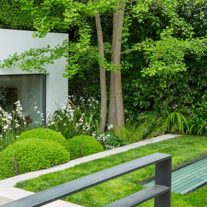 garden plants and shrubs