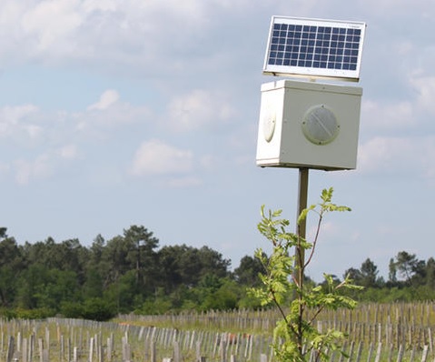 palmer music vineyard