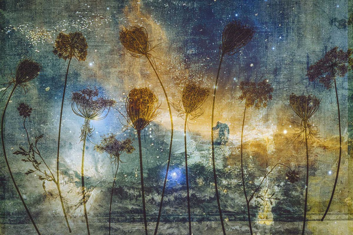 Image from the SheClicks exhibition at the Photography &amp; Video SHow 2025