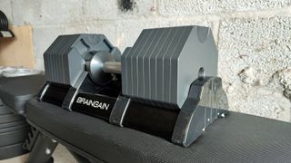 BrainGain 40KG Octagon Adjustable Dumbbell review