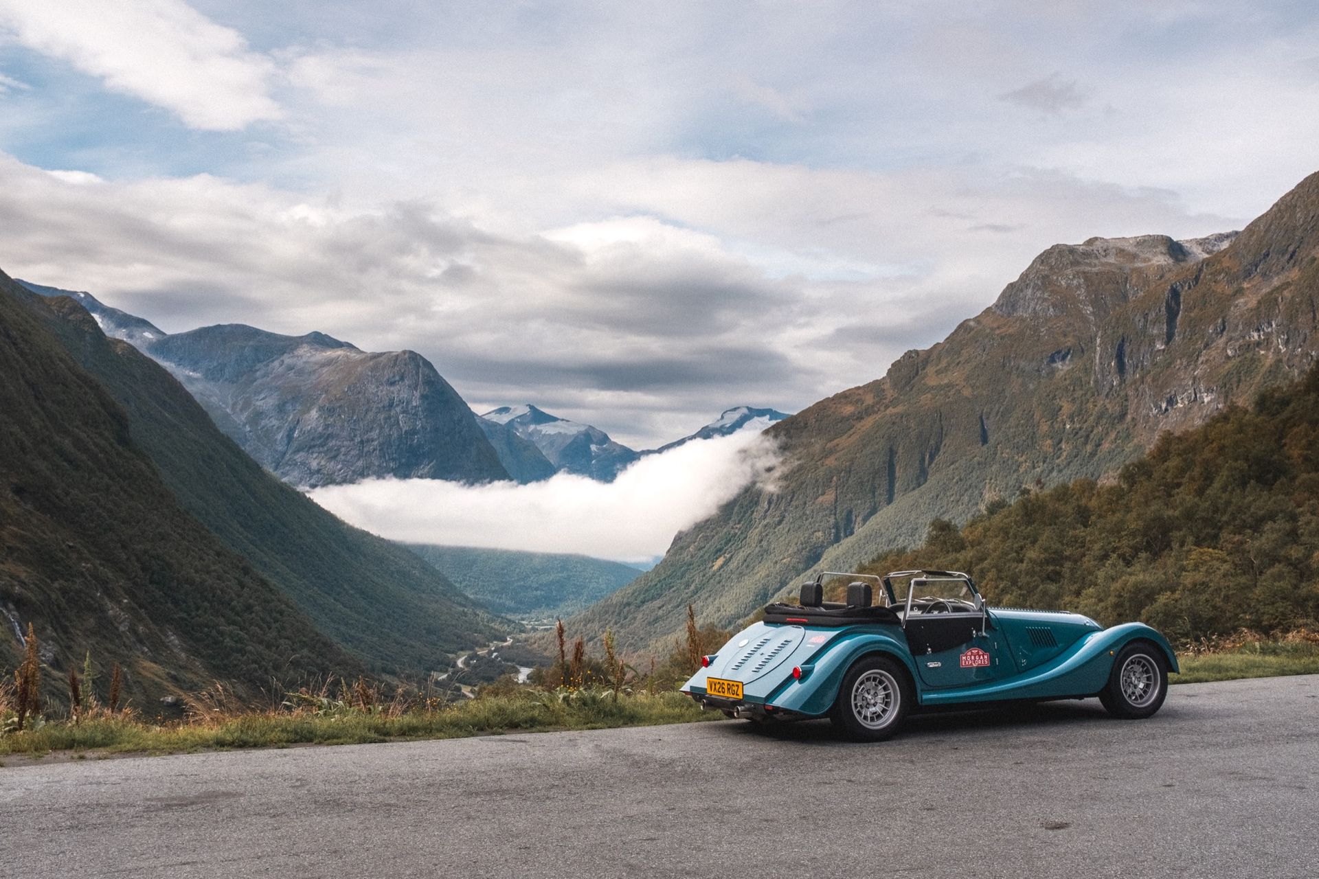 A morgan with a fjord in the background.