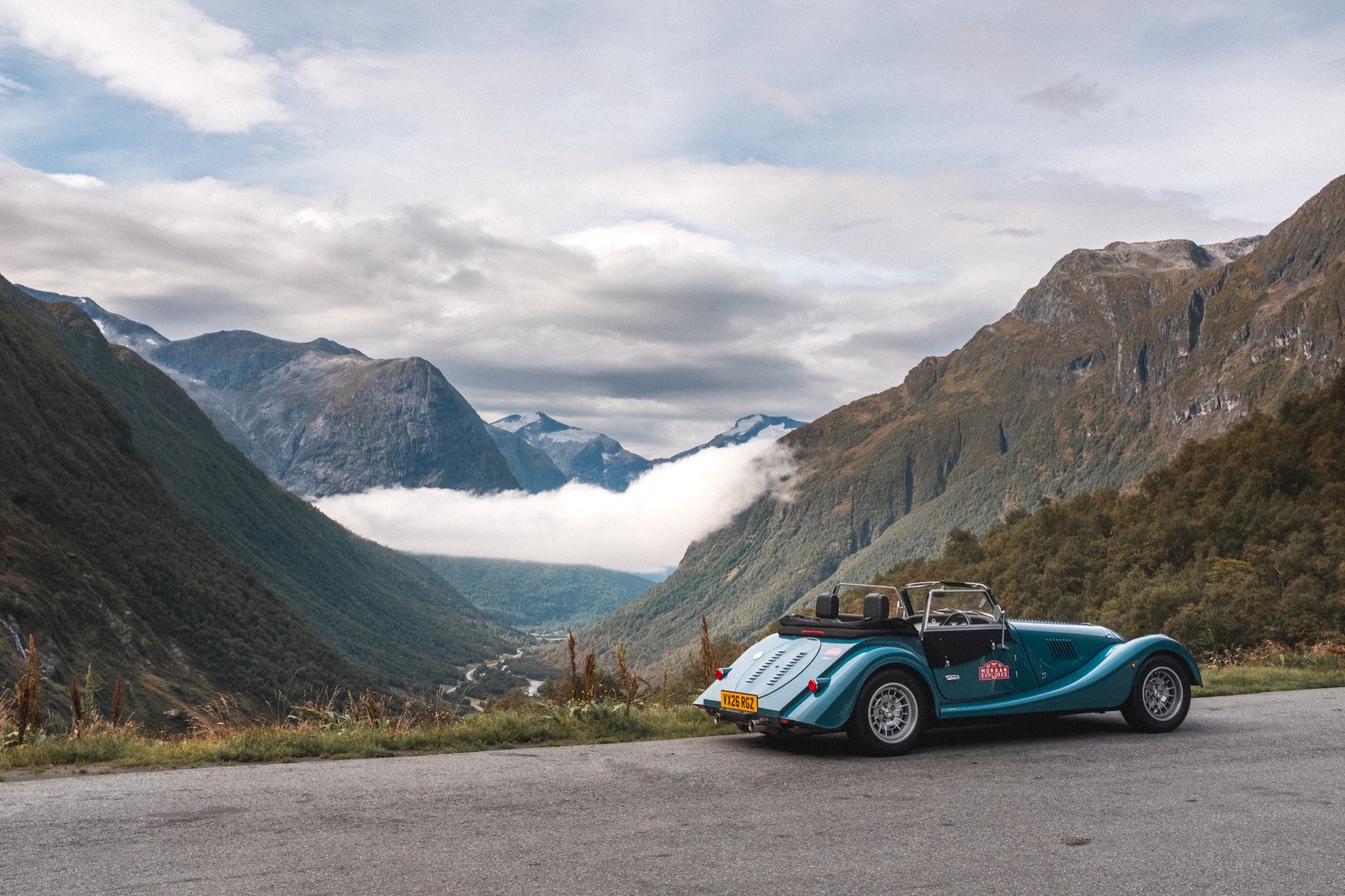 A morgan with a fjord in the background.