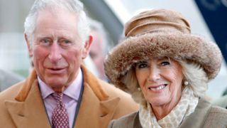 Prince Charles, Prince of Wales and Camilla, Duchess of Cornwall attend The Prince's Countryside Fund Raceday at Ascot Racecourse on November 24, 2017 in Ascot, England.