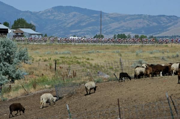 The field rolls through farm land outside of Salt Lake City.