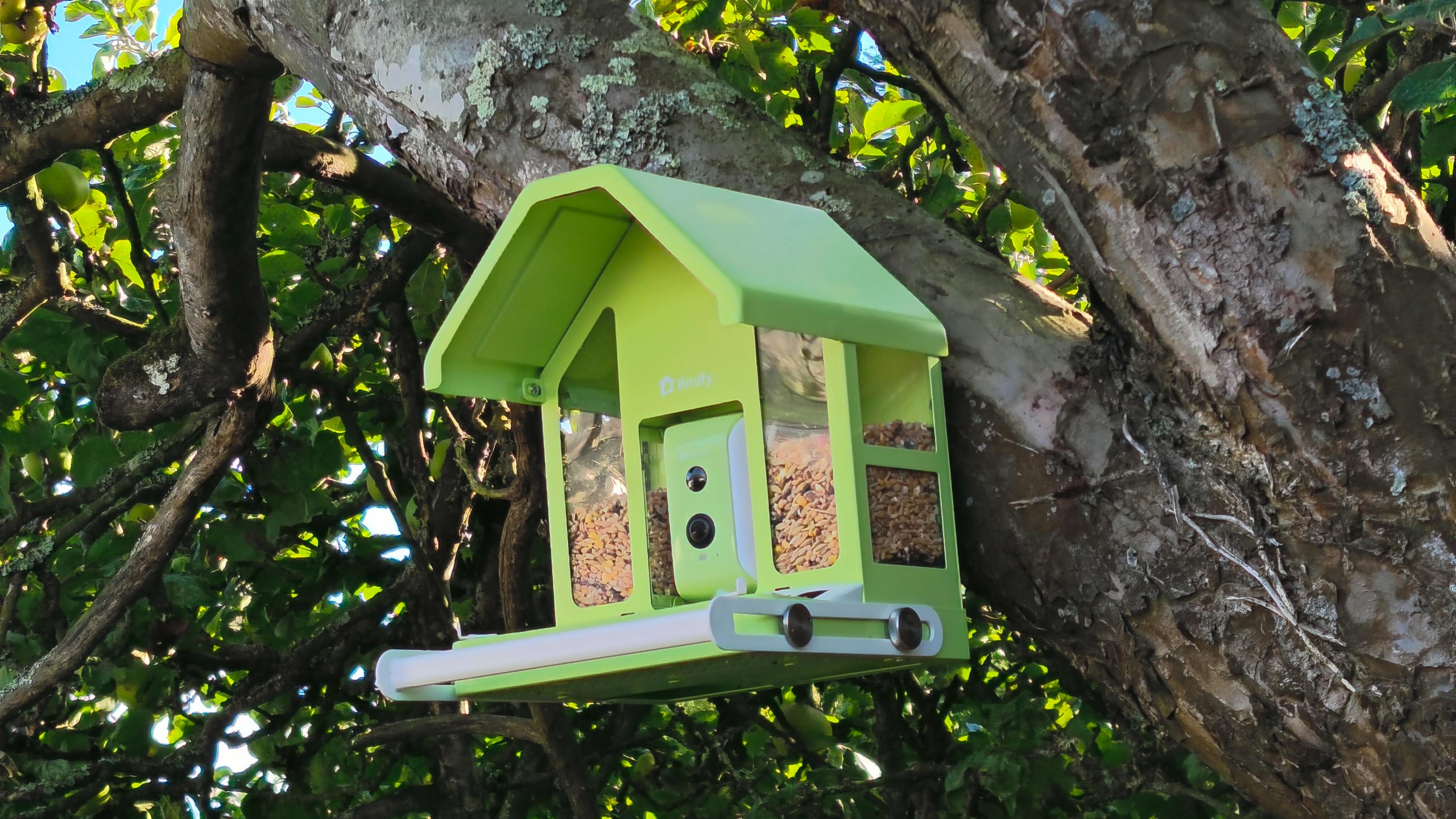 Birdfy Feeder Metal