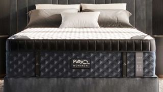 The puffy Monarch Mattress on a grey bedframe