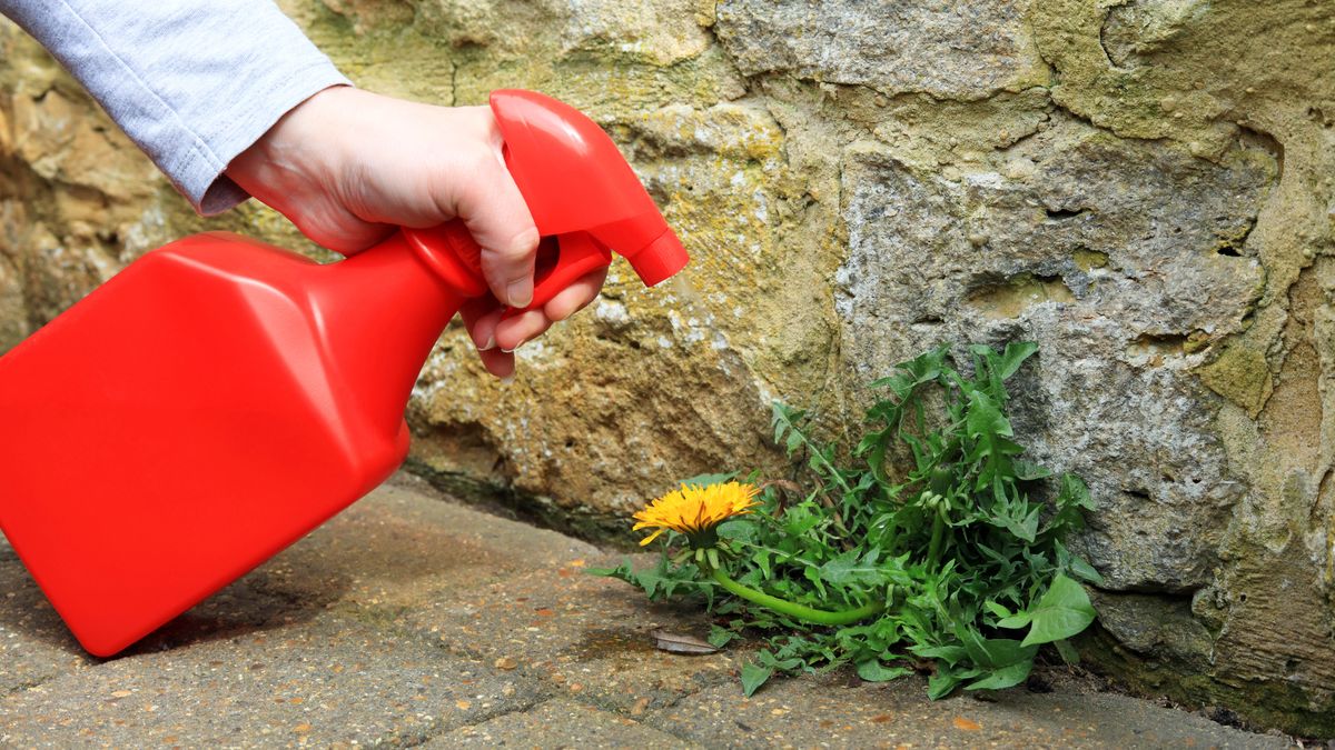 7 Ways To Kill Weeds Naturally — No Chemicals Required Toms Guide 