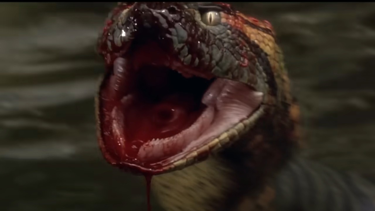 A giant, angry anaconda in Anaconda