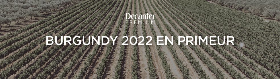 BURGUNDY 2022 en primeur