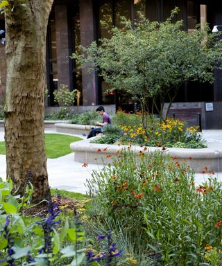 An image of Christchurch Gardens, Victoria, London, designed by Edward Freeman shortlisted entry for the SGD Awards