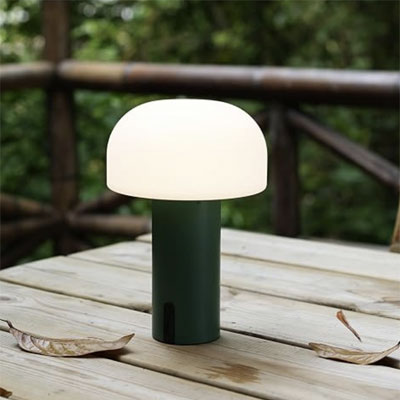 green portable outdoor lamp