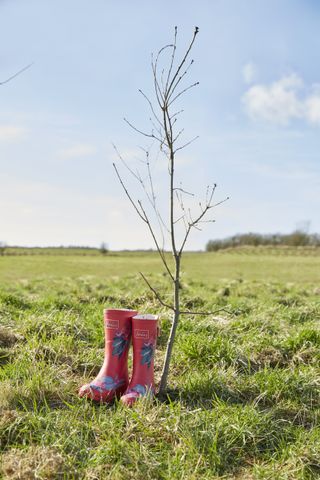 Joules, Wellies, Climate Change, Sustainability