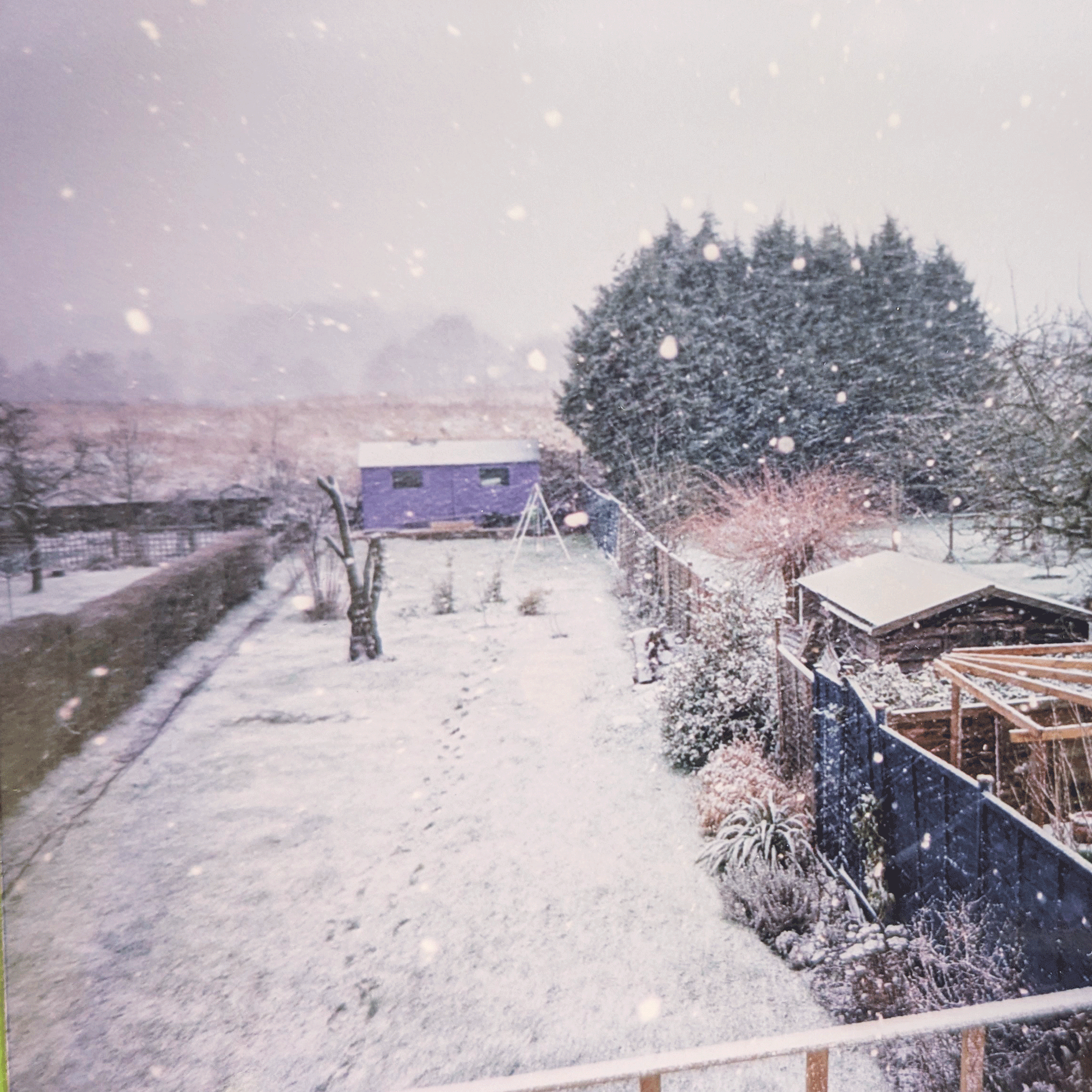 a long garden in the snow, before
