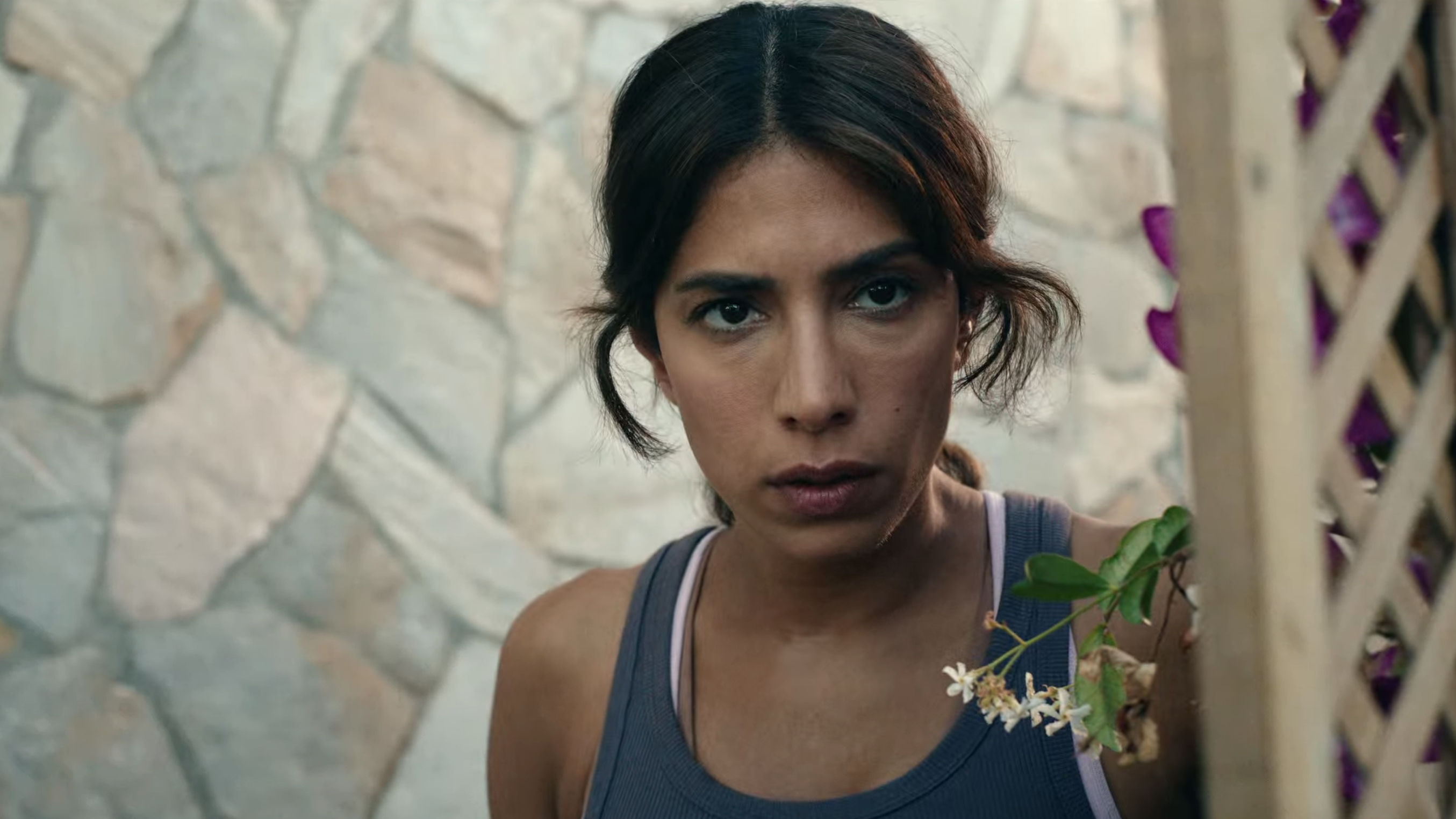 Who Is Erin Carter? on Netflix