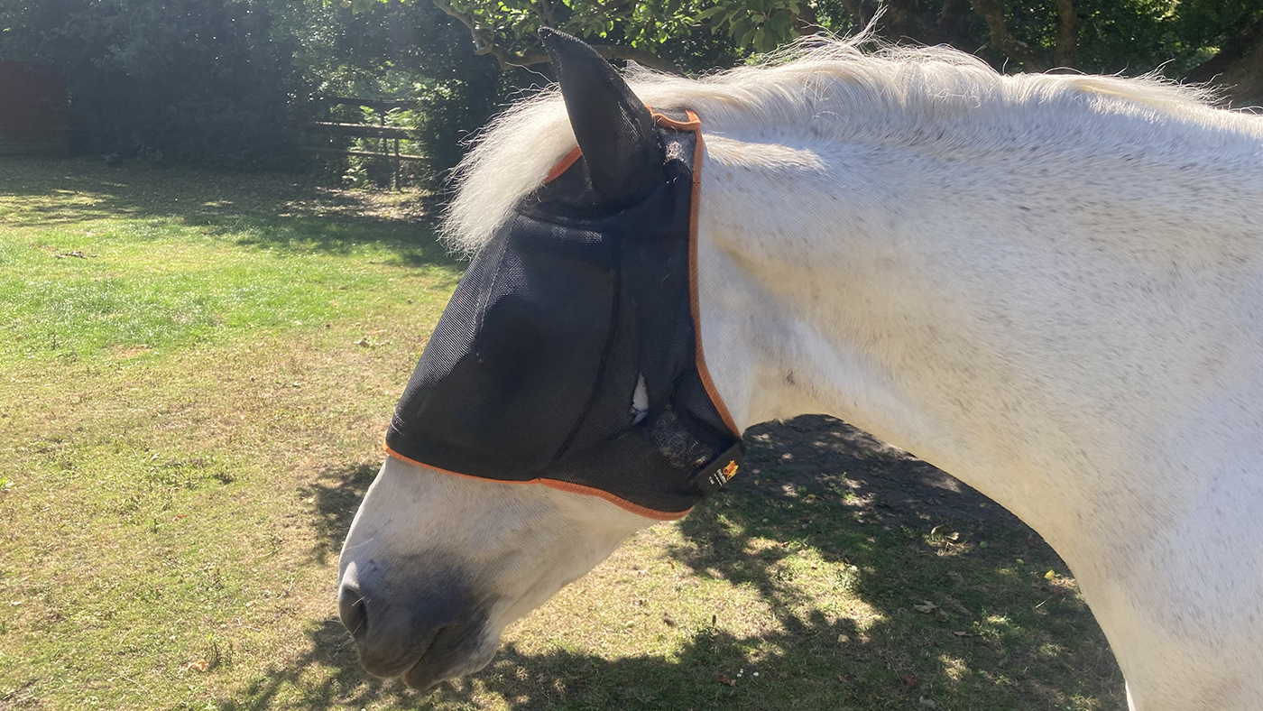 Equilibrium Field Relief Midi With Ears &amp;ndash;&amp;nbsp;hole in cheek after eight weeks use
