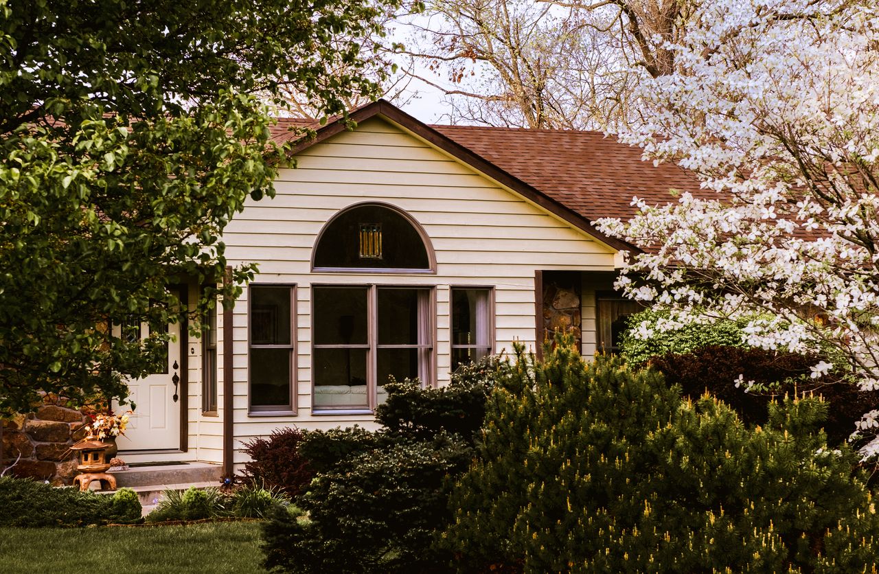 A house with trees and shrubs in the front yard