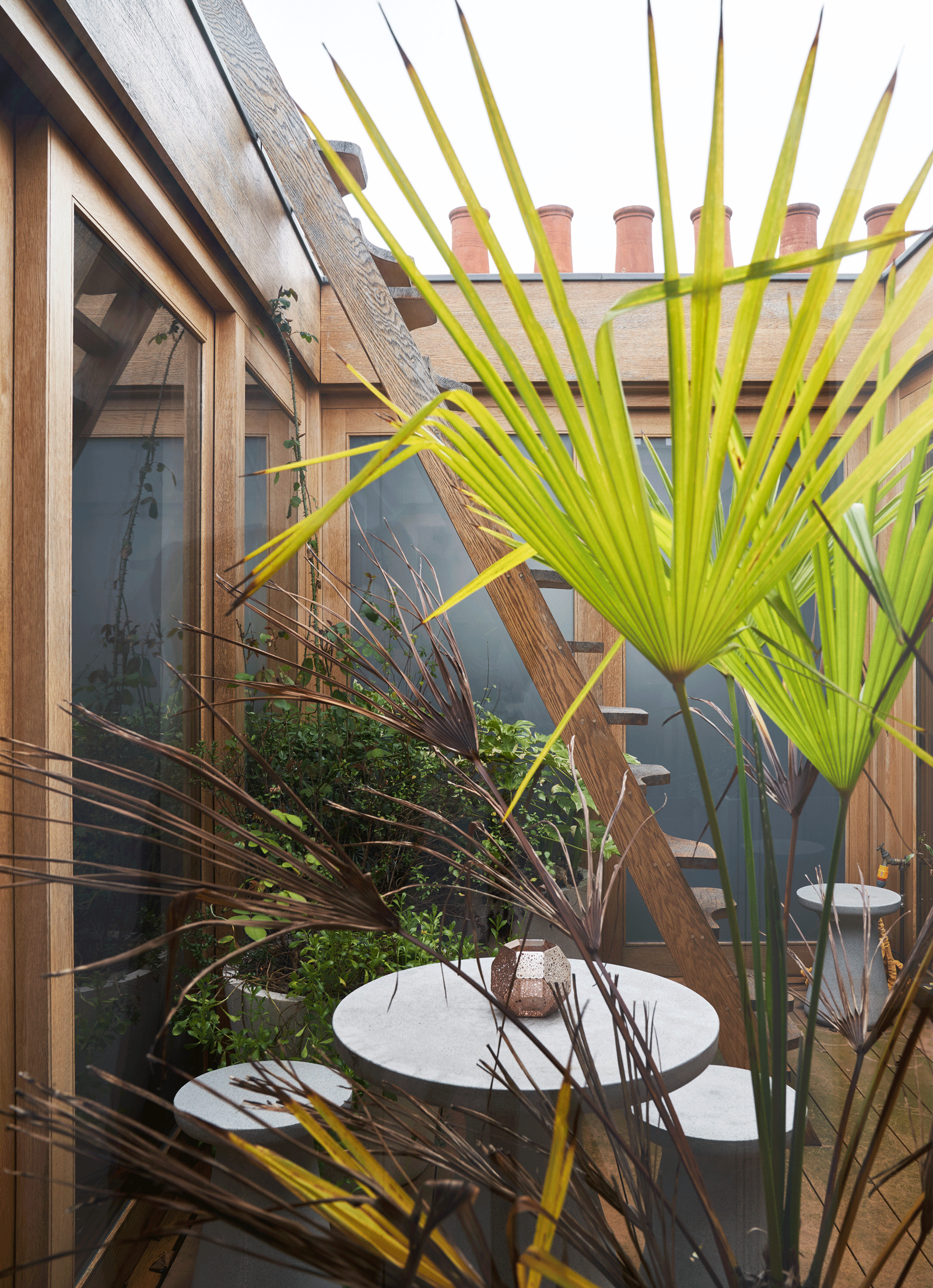 tiny courtyard garden with ladder